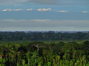 Region Andino-Amazonica